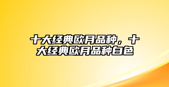 十大經(jīng)典歐月品種，十大經(jīng)典歐月品種白色