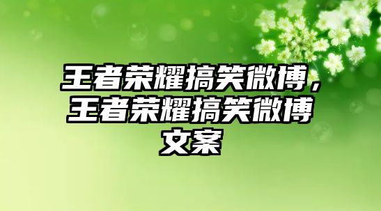 王者榮耀搞笑微博，王者榮耀搞笑微博文案