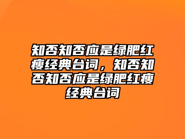 知否知否應是綠肥紅瘦經(jīng)典臺詞，知否知否知否應是綠肥紅瘦經(jīng)典臺詞