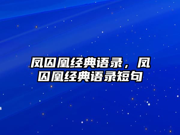 鳳囚凰經(jīng)典語錄，鳳囚凰經(jīng)典語錄短句