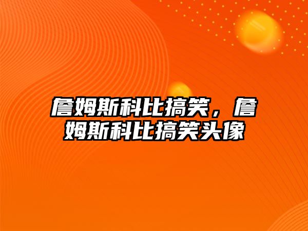 詹姆斯科比搞笑，詹姆斯科比搞笑頭像