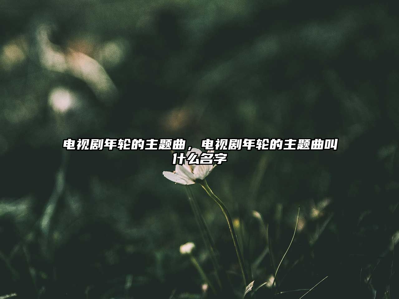 電視劇年輪的主題曲，電視劇年輪的主題曲叫什么名字