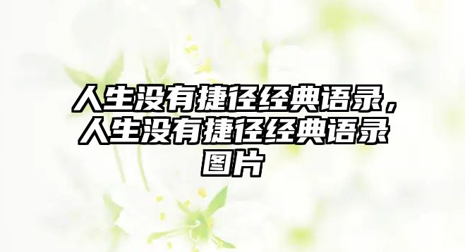 人生沒有捷徑經(jīng)典語錄，人生沒有捷徑經(jīng)典語錄圖片