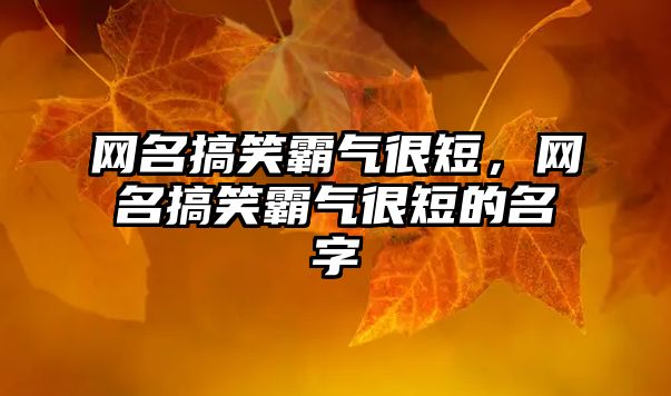 網(wǎng)名搞笑霸氣很短，網(wǎng)名搞笑霸氣很短的名字