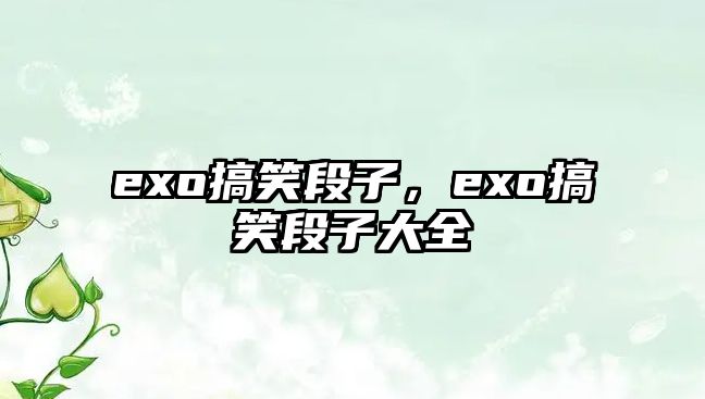 exo搞笑段子，exo搞笑段子大全