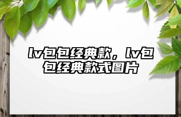 lv包包經(jīng)典款，lv包包經(jīng)典款式圖片